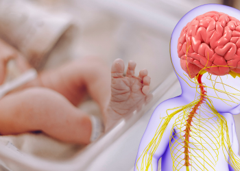 El cerebro del recién nacido reacciona más con el llanto de otros bebés que con el habla