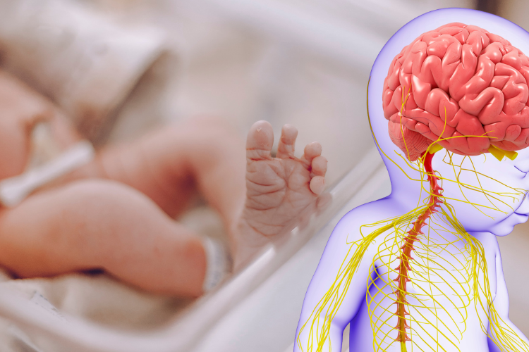 El cerebro del recién nacido reacciona más con el llanto de otros bebés que con el habla