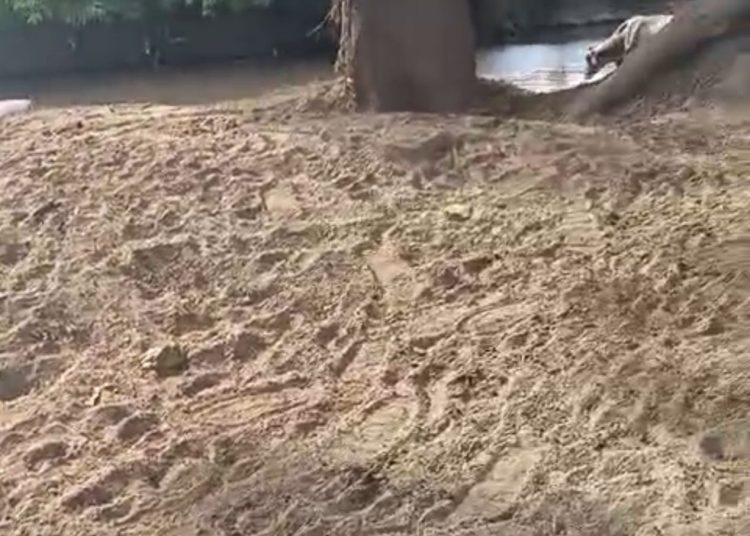 Parceleros lamentan paralización de trabajos de dragado y limpieza del río Masacre
