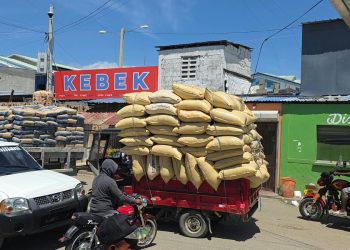 Comercio binacional continúa con normalidad en Dajabón pese a impasse por supuesta restricción a productos dominicanos