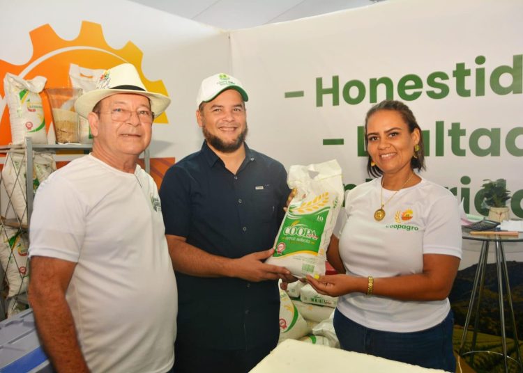 FEDA capacitará en drones agrícolas a productores de zonas arroceras del país