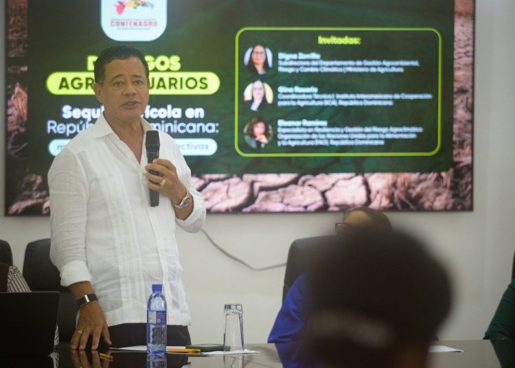 Productores llaman al Gobierno a proteger el arroz