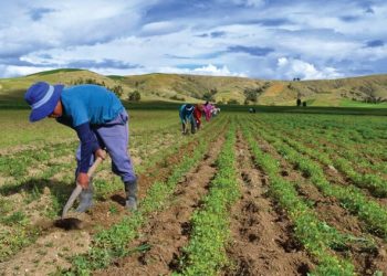 Día Mundial de la Agricultura