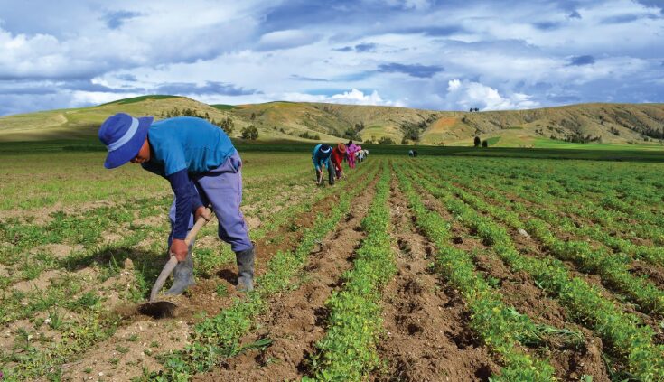 Día Mundial de la Agricultura
