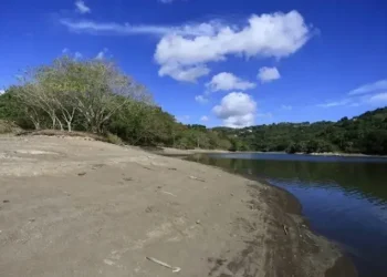 Más del 40 % de Puerto Rico enfrenta sequía extrema