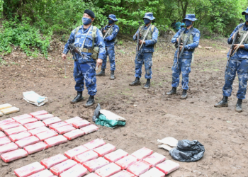 El Ejército de Nicaragua decomisó 1.381 kilos de drogas en el último año