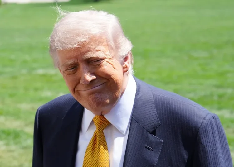 Trump nombra a Adam Telle secretario interino del Ejército de EE. UU.