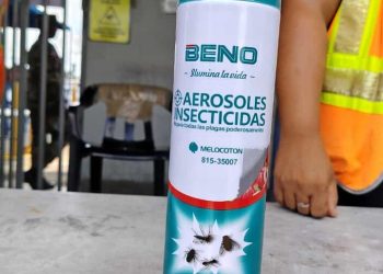 Decomisan 66 toneladas de insecticidas que intentaban ingresar de forma irregular por Haina