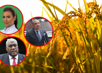 Diputados advierten riesgo para productores tras eliminación de protección al arroz