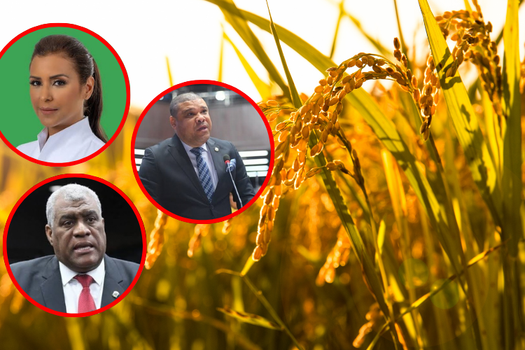 Diputados advierten riesgo para productores tras eliminación de protección al arroz