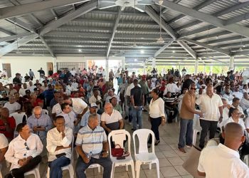 PRM en Nagua prepara acto de reconocimiento a José Ignacio Paliza